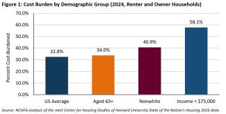 Cost Burden by Demographic Group