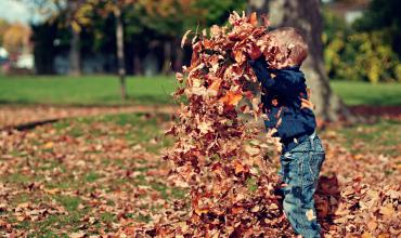 A child throwing a pile of fall leaves