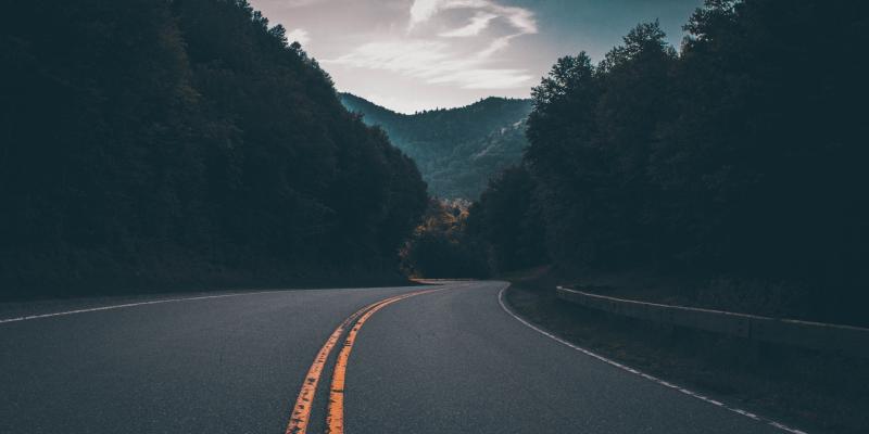 a road and trees 