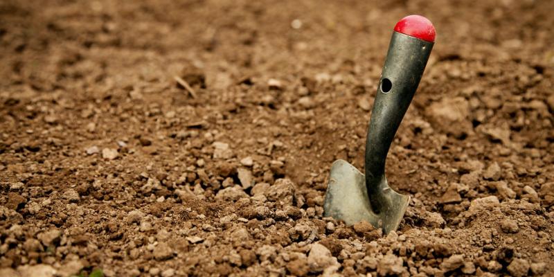 Shovel in the dirt